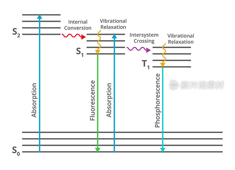 Jablonski diagram, molecular spectroscopy. Electronic states of a molecule and the transitions.
